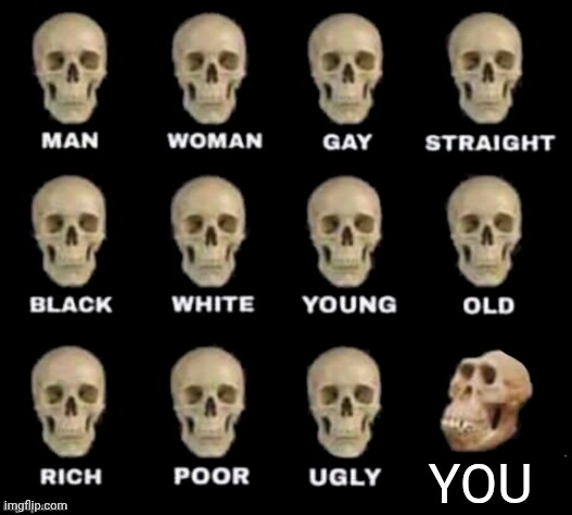 YOU | image tagged in idiot skull | made w/ Imgflip meme maker