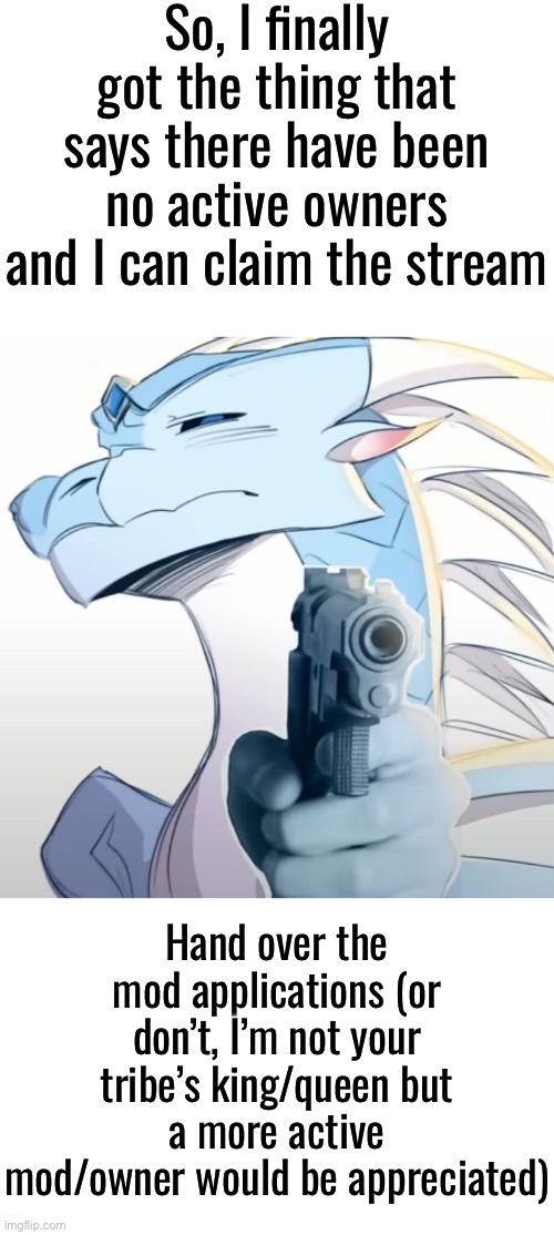 Ya’ll. Imgflip finally let me owner this. I need someone more active than me to help monitor the stream | So, I finally got the thing that says there have been no active owners and I can claim the stream; Hand over the mod applications (or don’t, I’m not your tribe’s king/queen but a more active mod/owner would be appreciated) | image tagged in pointing gun | made w/ Imgflip meme maker