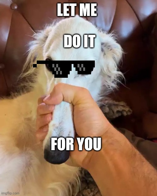 Borzoi mouth closed | DO IT; LET ME; FOR YOU | image tagged in borzoi mouth closed | made w/ Imgflip meme maker