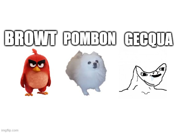 they look ridiculous | POMBON; BROWT; GECQUA | image tagged in blank white template,pokemon memes,pokemon,nintendo,nintendo switch 2,2027 | made w/ Imgflip meme maker