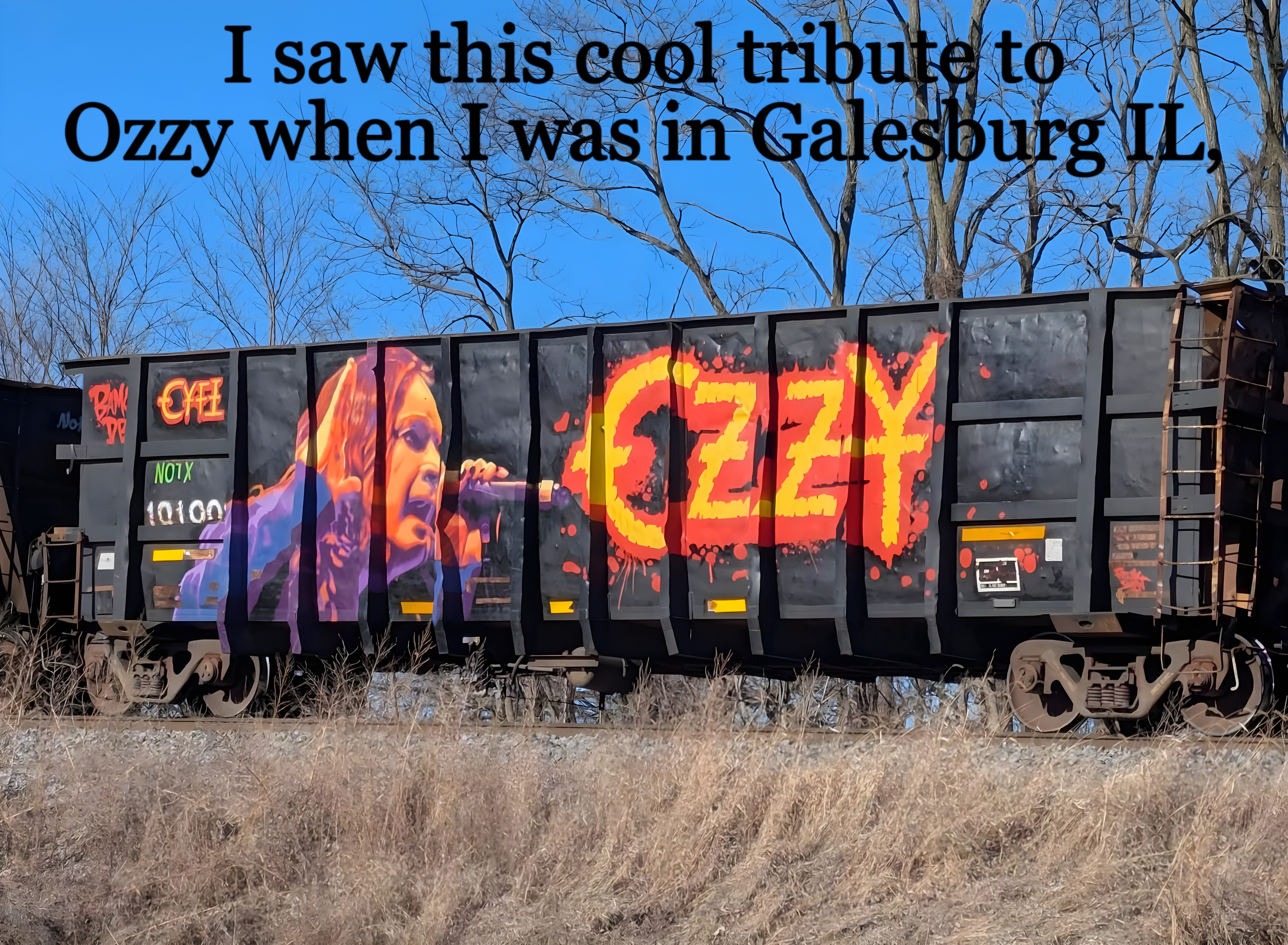 tribute to Ozzy | I saw this cool tribute to Ozzy when I was in Galesburg IL, | image tagged in ozzy,tribute | made w/ Imgflip meme maker