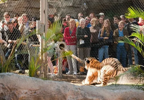 tug of war Blank Meme Template