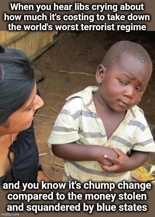 Imagine the good things that could have been done with all that stolen money | When you hear libs crying about
how much it's costing to take down
the world's worst terrorist regime; and you know it's chump change
compared to the money stolen
and squandered by blue states | image tagged in memes,third world skeptical kid,democrats,corruption,crime,hypocrisy | made w/ Imgflip meme maker
