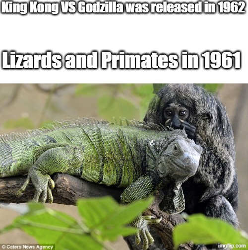 What I believe here is true | King Kong VS Godzilla was released in 1962; Lizards and Primates in 1961 | image tagged in godzilla | made w/ Imgflip meme maker