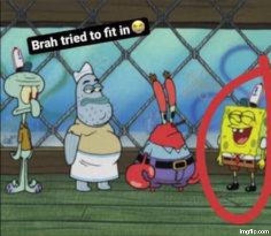 Bro tried to fit in | image tagged in bro tried to fit in | made w/ Imgflip meme maker