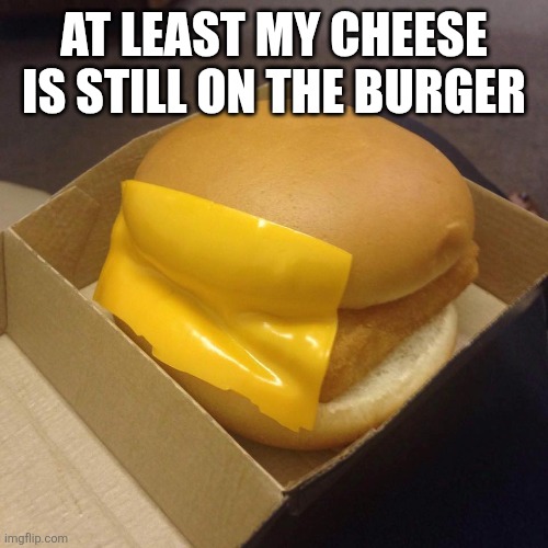 You had ONE job | AT LEAST MY CHEESE IS STILL ON THE BURGER | image tagged in you had one job | made w/ Imgflip meme maker