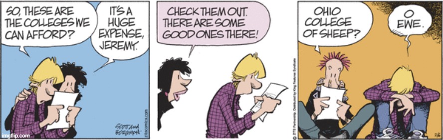 Zits | image tagged in comics | made w/ Imgflip meme maker