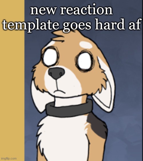 new reaction template goes hard af | made w/ Imgflip meme maker