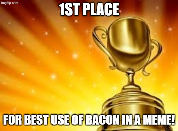 Award | 1ST PLACE FOR BEST USE OF BACON IN A MEME! | image tagged in award | made w/ Imgflip meme maker