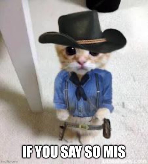 kitten Arthur Morgan | IF YOU SAY SO MISTER | image tagged in kitten arthur morgan | made w/ Imgflip meme maker