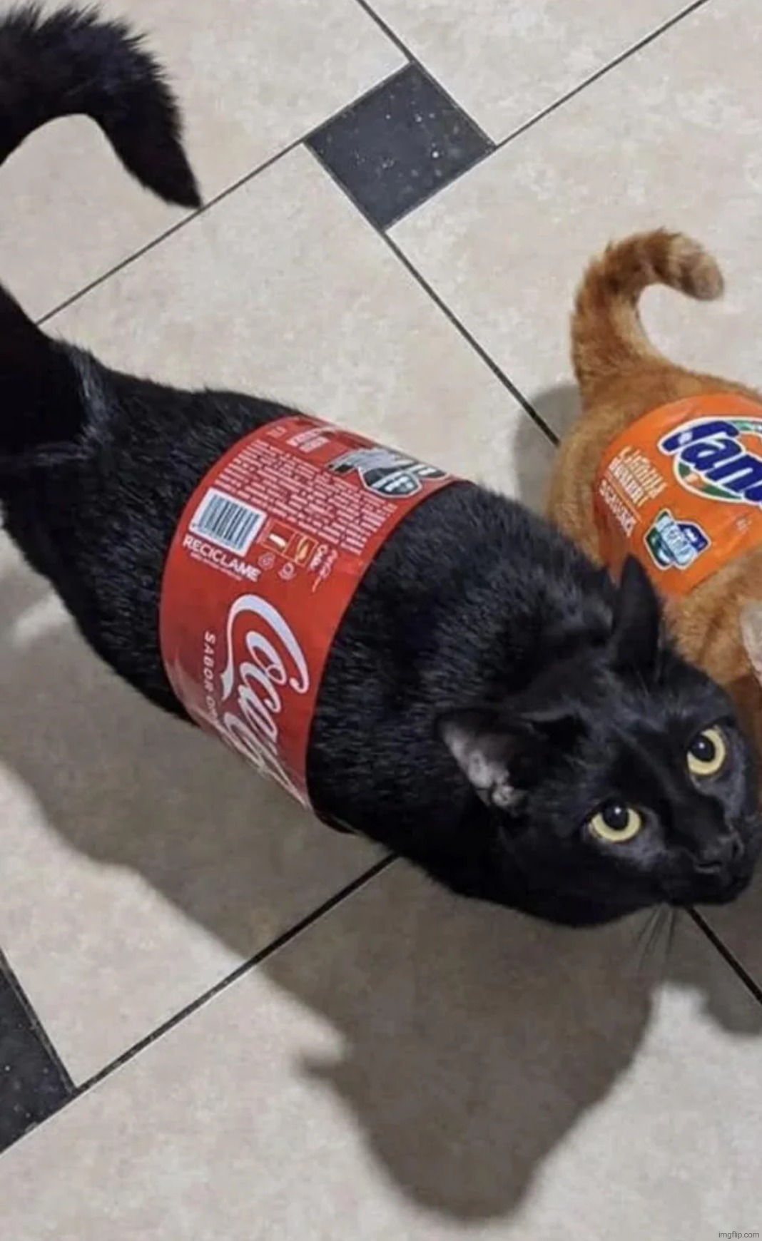 cars :3 | made w/ Imgflip meme maker