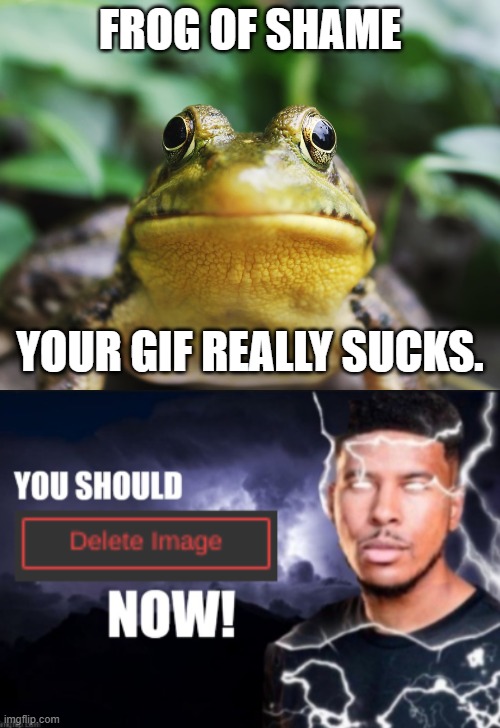 When a GIF Really Sucks | FROG OF SHAME; YOUR GIF REALLY SUCKS. | image tagged in frog of shame,you should delete image now,memes,frog,shame | made w/ Imgflip meme maker