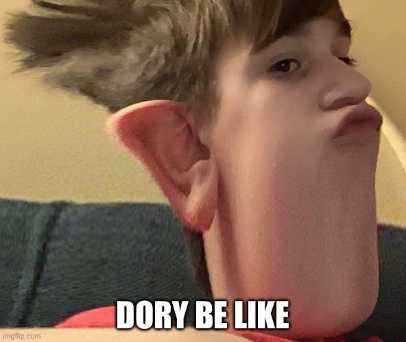 Yes, Finding Dory is outdated. But I got this image from my cousin and I had to make it a meme | DORY BE LIKE | image tagged in finding dory,cousin,lol | made w/ Imgflip meme maker