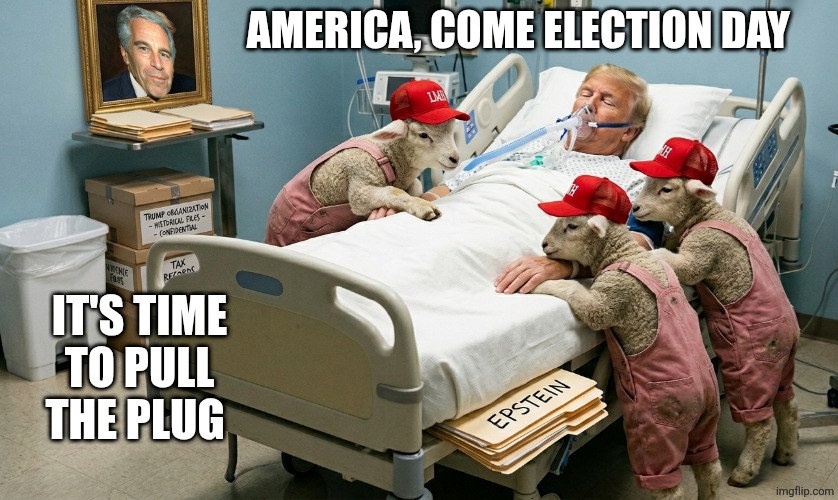 Time to pull the plug | AMERICA, COME ELECTION DAY; IT'S TIME TO PULL THE PLUG | image tagged in time to pull the plug,trump,jeffrey epstein,pull the plug,vote | made w/ Imgflip meme maker