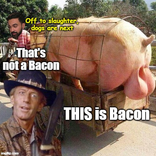 Off to slaughter, dogs are next | made w/ Imgflip meme maker