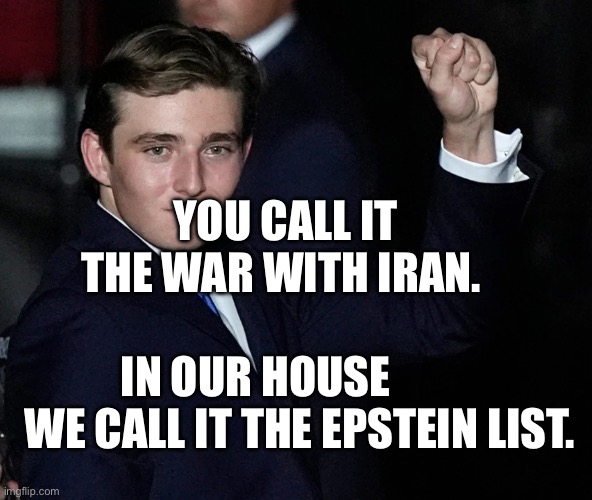 Barron Trump | YOU CALL IT THE WAR WITH IRAN. IN OUR HOUSE            WE CALL IT THE EPSTEIN LIST. | image tagged in barron trump | made w/ Imgflip meme maker