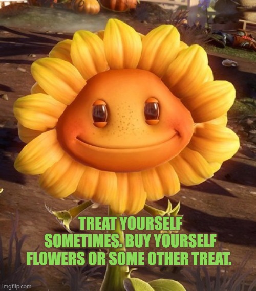 Treat yourself sometimes. Buy yourself flowers or some other treat. | TREAT YOURSELF SOMETIMES. BUY YOURSELF FLOWERS OR SOME OTHER TREAT. | image tagged in plants vs zombie sunflower,autism,wellbeing,treats,jo farmer,flower | made w/ Imgflip meme maker