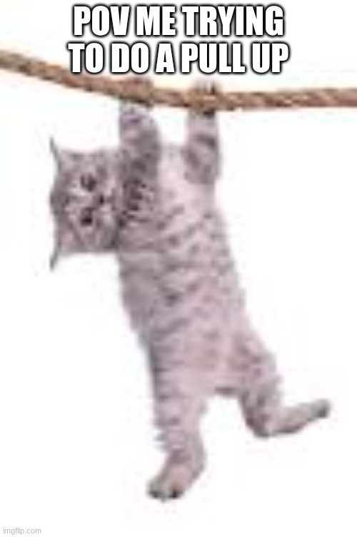 when i try to do a pull up | POV ME TRYING TO DO A PULL UP | image tagged in hang in there | made w/ Imgflip meme maker