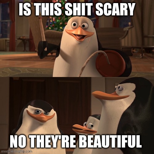 Madagascar Penguin Kaboom | IS THIS SHIT SCARY NO THEY'RE BEAUTIFUL | image tagged in madagascar penguin kaboom | made w/ Imgflip meme maker