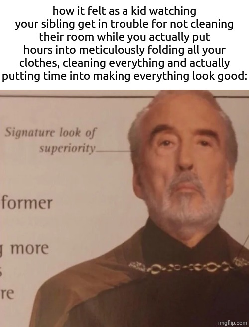. | how it felt as a kid watching your sibling get in trouble for not cleaning their room while you actually put hours into meticulously folding all your clothes, cleaning everything and actually putting time into making everything look good: | image tagged in signature look of superiority,memes | made w/ Imgflip meme maker