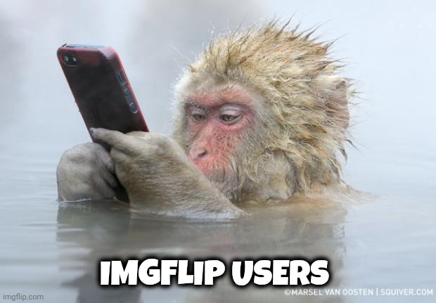 monkey mobile phone | IMGFLIP USERS | image tagged in monkey mobile phone | made w/ Imgflip meme maker