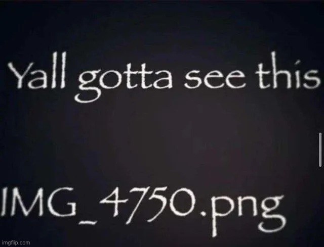 Yall gotta see this.IMG_4750.png | image tagged in yall gotta see this img_4750 png | made w/ Imgflip meme maker