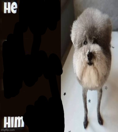 He made a statement so trash | image tagged in he made a statement so trash | made w/ Imgflip meme maker