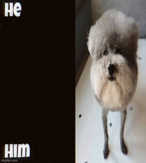 He made a statement so trash | image tagged in he made a statement so trash | made w/ Imgflip meme maker