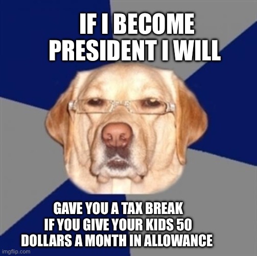 Is ts sound fair? | IF I BECOME PRESIDENT I WILL; GAVE YOU A TAX BREAK IF YOU GIVE YOUR KIDS 50 DOLLARS A MONTH IN ALLOWANCE | image tagged in memes,advice dog | made w/ Imgflip meme maker
