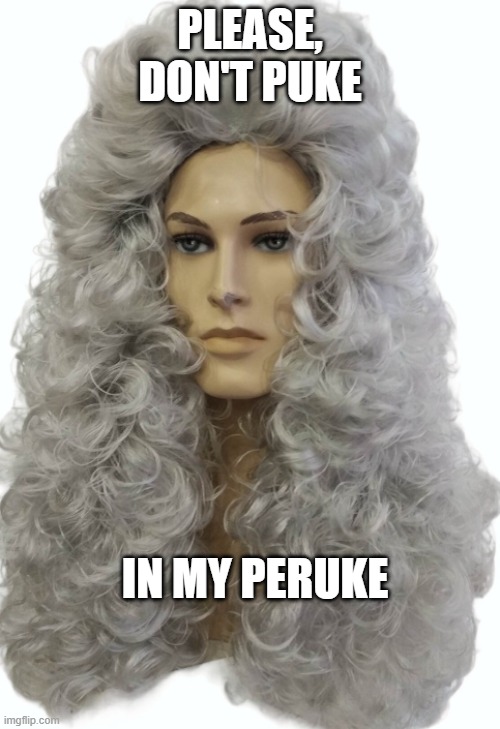 Please, Don't Puke In My Peruke | PLEASE, DON'T PUKE; IN MY PERUKE | image tagged in peruke,puke,funny memes | made w/ Imgflip meme maker