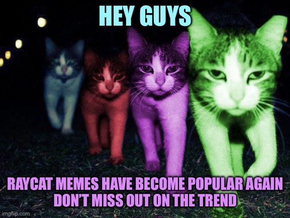 Wrong Neighborhood RayCats | HEY GUYS; RAYCAT MEMES HAVE BECOME POPULAR AGAIN
DON’T MISS OUT ON THE TREND | image tagged in wrong neighborhood raycats | made w/ Imgflip meme maker