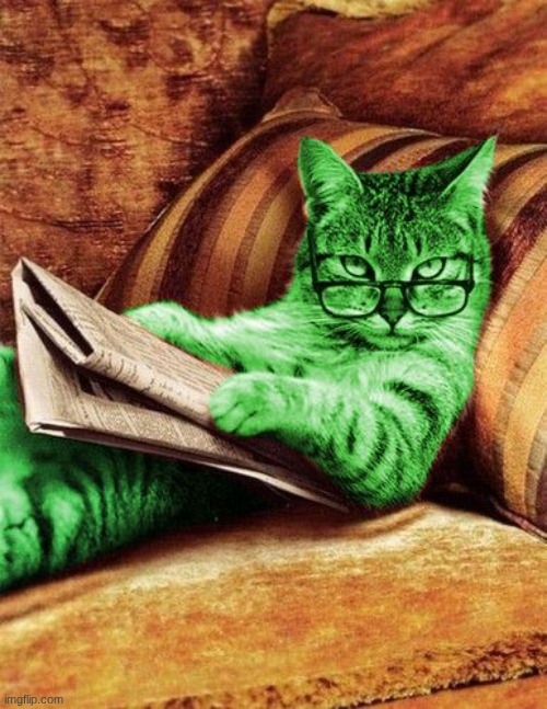 Factual RayCat | image tagged in factual raycat | made w/ Imgflip meme maker