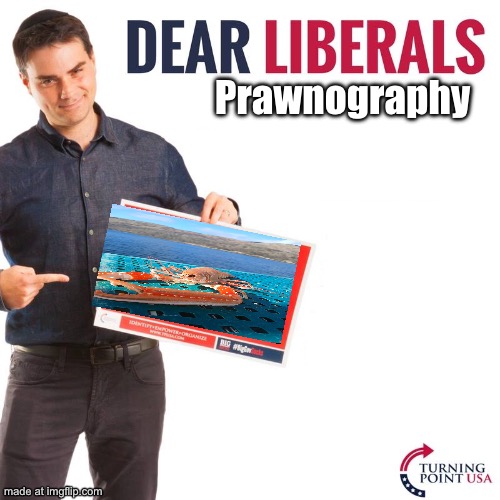 Dear Liberals | Prawnography | image tagged in dear liberals | made w/ Imgflip meme maker