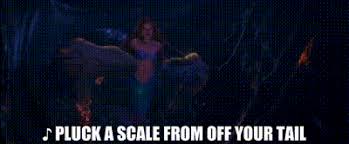 pluck a scale Blank Meme Template