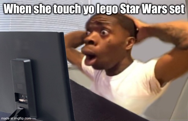 My Honest Reaction | When she touch yo lego Star Wars set | image tagged in my honest reaction | made w/ Imgflip meme maker