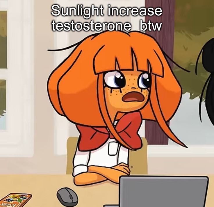 Sunlight increase testosterone  btw | made w/ Imgflip meme maker