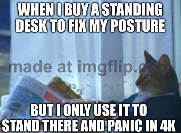 WHEN I BUY A STANDING DESK TO FIX MY POSTURE; BUT I ONLY USE IT TO STAND THERE AND PANIC IN 4K | WHEN I BUY A STANDING DESK TO FIX MY POSTURE; BUT I ONLY USE IT TO STAND THERE AND PANIC IN 4K | image tagged in memes,i should buy a boat cat,panic,fix,desk,stand | made w/ Imgflip meme maker