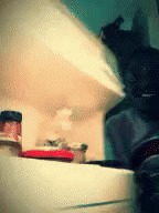 Fridge Disappointment | image tagged in fridge disappointment | made w/ Imgflip meme maker