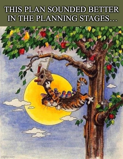 Gravity kicked in shortly afterwards… | THIS PLAN SOUNDED BETTER 
IN THE PLANNING STAGES… | image tagged in cats,cartoon,gary patterson,birdhouse,birds,plan | made w/ Imgflip meme maker