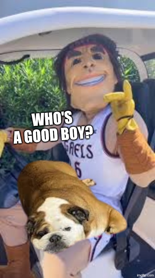 saint mary's gaels meme | WHO'S A GOOD BOY? | image tagged in memes,saint mary's,gaels,basketball,gonzaga,good boy | made w/ Imgflip meme maker