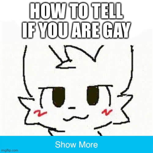 boykisser | HOW TO TELL IF YOU ARE GAY | image tagged in boykisser | made w/ Imgflip meme maker
