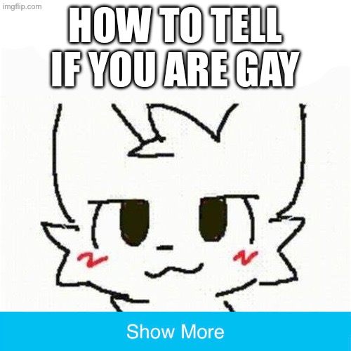 boysgalsandnbpalskisser | HOW TO TELL IF YOU ARE GAY | image tagged in boykisser | made w/ Imgflip meme maker