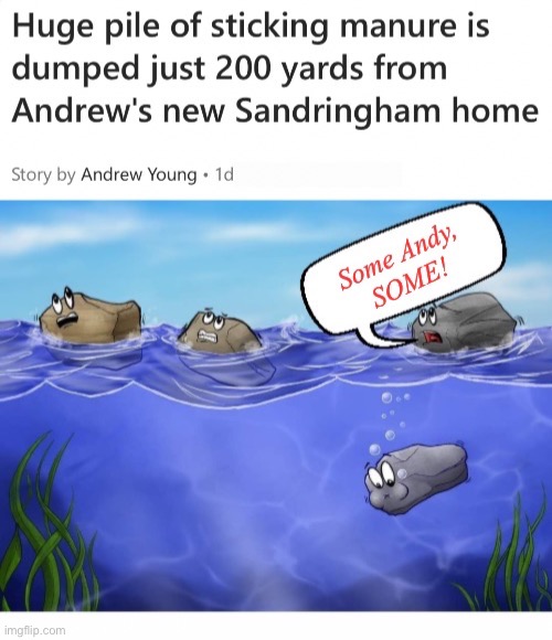 Co-pilot Down | image tagged in stinking sweating and sticking,out of house | made w/ Imgflip meme maker