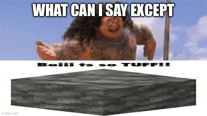 What Can I Say Except X? | WHAT CAN I SAY EXCEPT | image tagged in what can i say except x | made w/ Imgflip meme maker