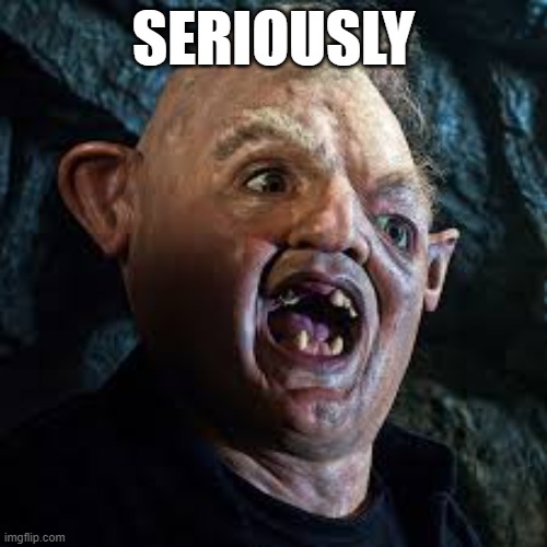 Serious Sloth | SERIOUSLY | image tagged in goonies,sloth,seriously | made w/ Imgflip meme maker
