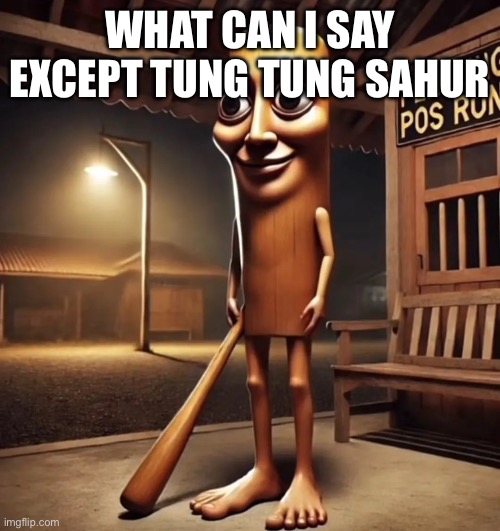 tung tung tung sahur | WHAT CAN I SAY EXCEPT TUNG TUNG SAHUR | image tagged in tung tung tung sahur | made w/ Imgflip meme maker