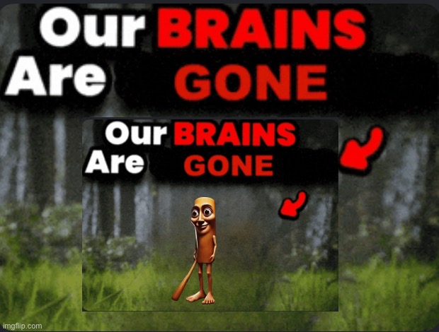 Our brains are GONE | image tagged in our brains are gone | made w/ Imgflip meme maker