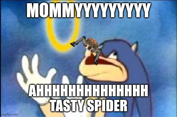 Sonic derp | MOMMYYYYYYYYY; AHHHHHHHHHHHHHH
TASTY SPIDER | image tagged in sonic derp | made w/ Imgflip meme maker