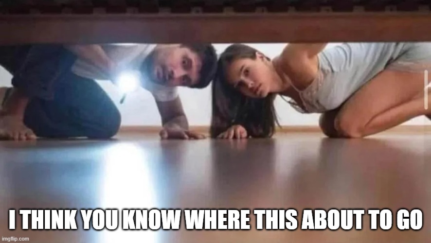 Under the Bed | I THINK YOU KNOW WHERE THIS ABOUT TO GO | image tagged in sex jokes | made w/ Imgflip meme maker