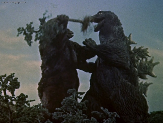 King Kong vs Godzilla | image tagged in king kong vs godzilla | made w/ Imgflip meme maker